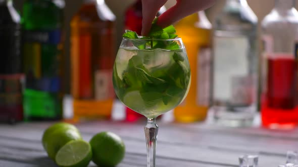 Mint Branch and Green Cocktail.