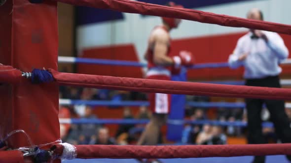 Boxing Match in the Ring