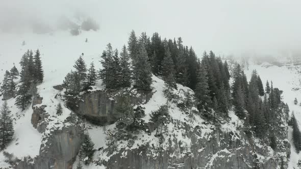 Flying over pine trees on top of mountain, revealing a small cabin in stunning snow covered landscap