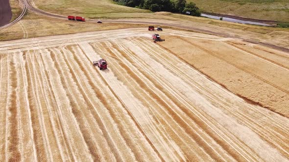 Aerial View. The Combine Harvesters, a Tractor and Truck with Trailer Is Working in a Large Wheat