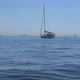 Boat sailing by the sea - VideoHive Item for Sale