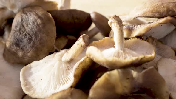 Very closeup shot of fresh shiitake mushrooms on a wood cutting board as camera slides from right to