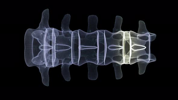Futuristic Holographic X-ray Scanning Human Body Part - Backbone 02