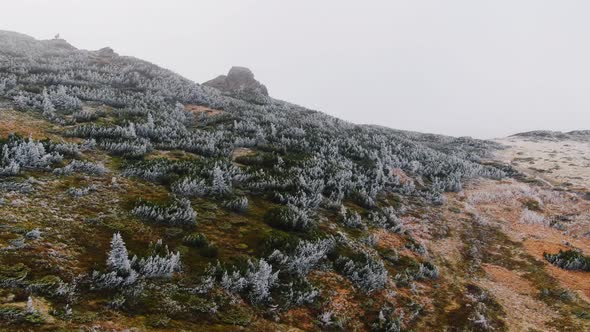 Aerial View Frozen Mountain with Trees in Autumn