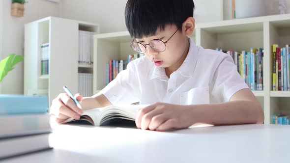 boy reading a book and concentrating on his studies