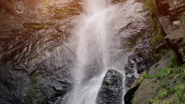 A Beautiful Waterfall in Green Forest