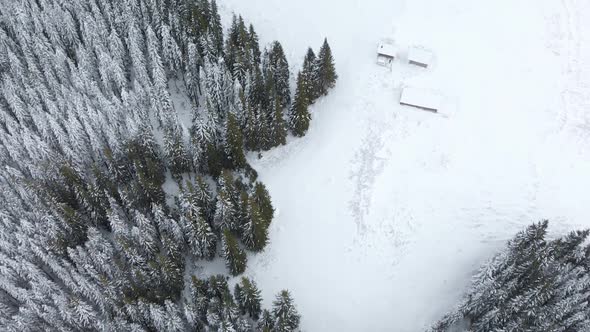 Aerial Flying over Mountain Winter Pine Forest Unveil Hut Cabin