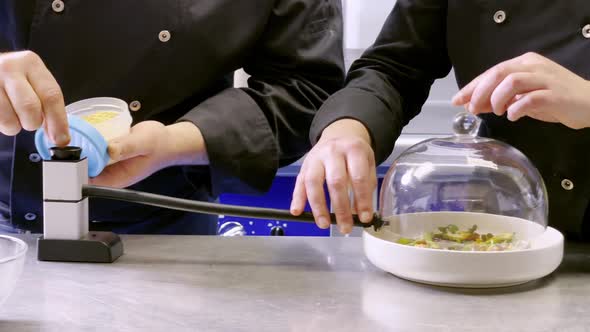 Two cooks smoking vegetables's dish in a professional cuisine in Spain (could be anywhere)