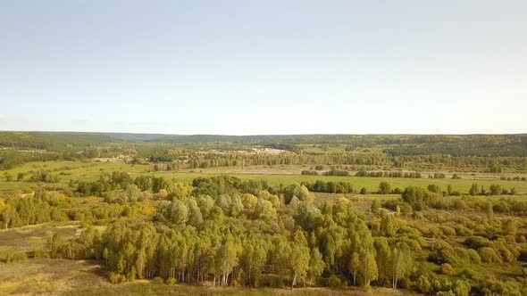 Autumn Forest