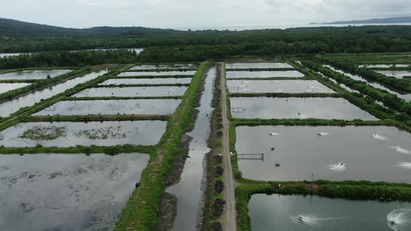 Prawn Fish Farm Aerial