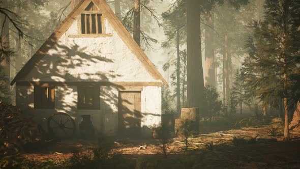 Old Wooden House in the Autumn Forest