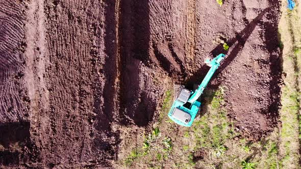 Backhoe is working in the garden.