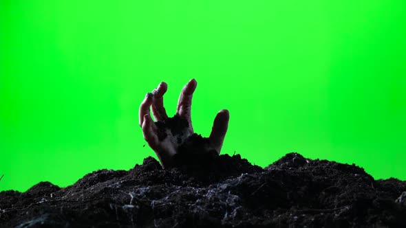 Zombie Hand Emerging From the Ground. Green Screen. 005