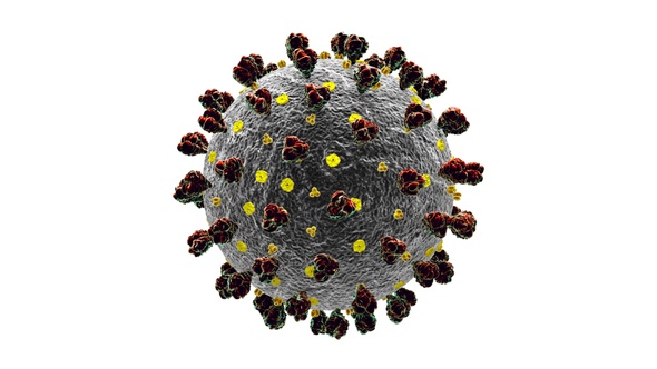 Coronavirus Covid 19 Cell alt