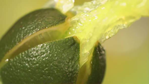 Fresh Lime Fruit Squirting with Juice in Slow Motion in Green Nature Background