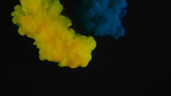 Bright Yellow Ink Cloud Mixes with Blue Paint Creating Green