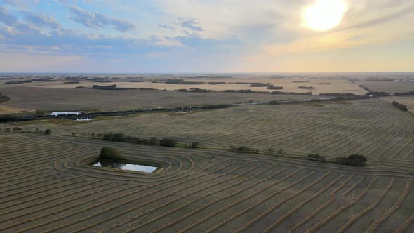 Aerial drone footage flying over harvested wheat field towards beautiful sunset horizon in Alberta,