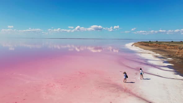 Aerial View Beautiful Amazing Lake with Dry Salt Coast and Pink Water