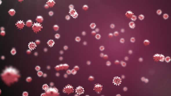Animation of macro Covid-19 cells floating on a purple background