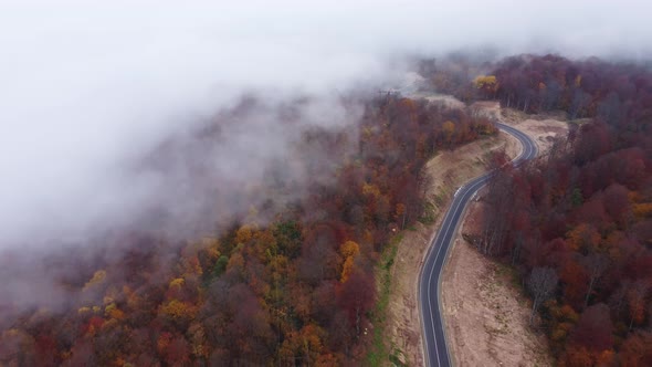 Autumn colors and mountain road aerial view