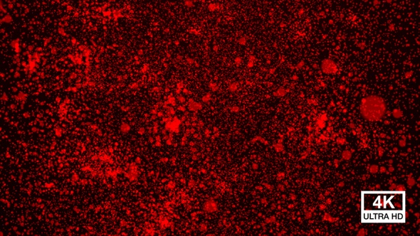 Red Snow Falling 4K alt