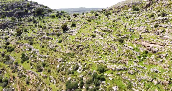 Aerial View of the landscape of the wooded hills and the paths, Bi'r Saricah.