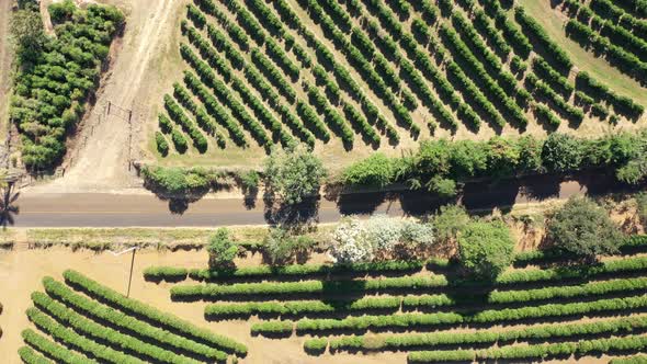 Rural landscape aerial view. Nature scenery