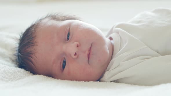 Close-up portrait of a young baby who has recently been born.