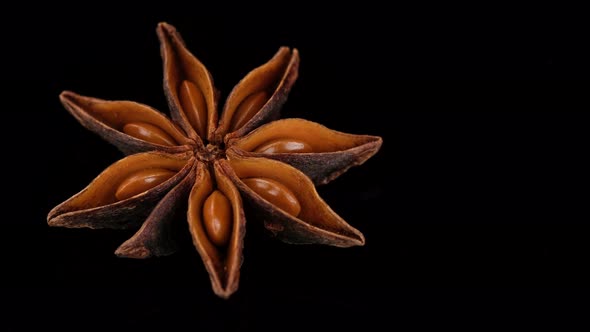 Dry Star anise isolated on black background, rotating