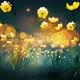 Magic Flower Garden - VideoHive Item for Sale