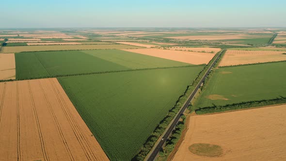 Top View of the Yellow and Green Agricultural Fields Along the Road