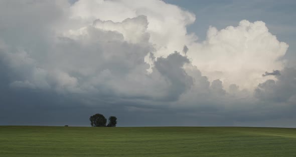 Storm Clouds In The Field