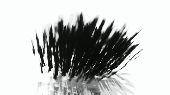 Bark Magnetic Iron Powder Experiment alt