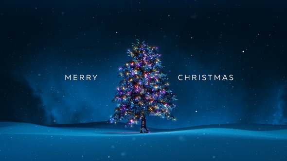 Christmas Tree In Snowy Forest At Night alt