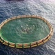 Sea fish farm. Cages for fish farming in mediterranean sea - VideoHive Item for Sale