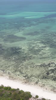 Tanzania  Vertical Video of the Ocean Near the Coast of Zanzibar Slow Motion