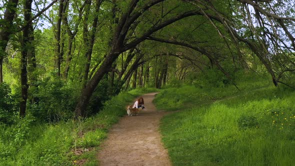 Girl With The Corgi Dog Walking By The Foothpath Under The Trees 2