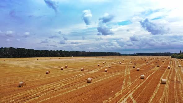 Twisted haystack on field. Landscape of grasland after haymaking