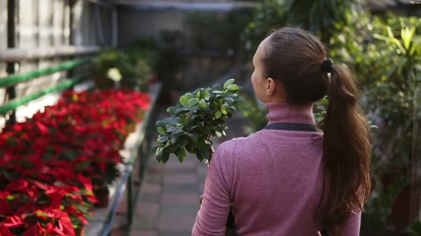 Back View of a Young Female Florist with Ponytail in Apron Walking Among Rows of Flowers in Flower