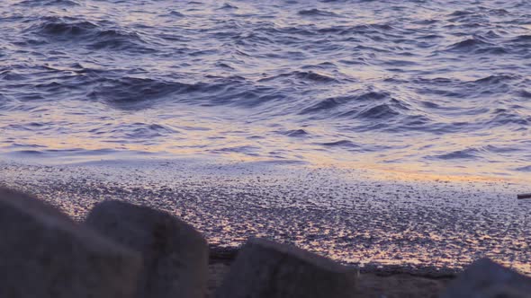 Calm sea with algae at sunset, scenic red reflections, medium shot