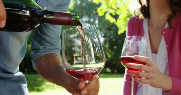 Happy couple having red wine in park