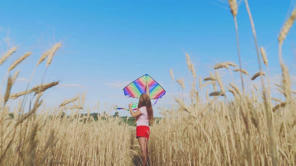 Pretty Girl Playing with Kite in Wheat Field on Summer Day. Childhood, Lifestyle Concept