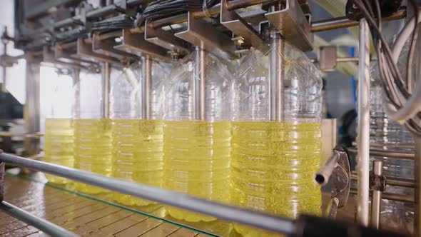 Automatic Line for Filling Bottles with Sunflower Oil