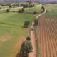 Aerial view of blue car driving on country road in countryside. - VideoHive Item for Sale