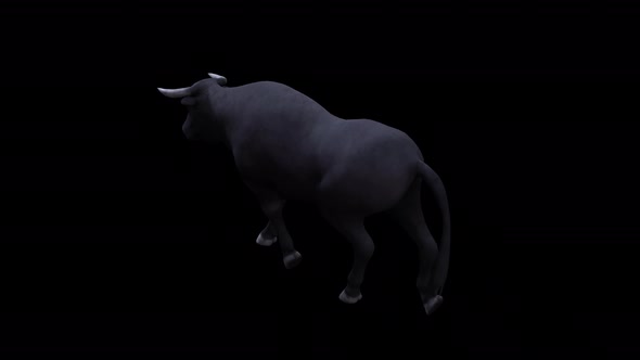 Bull Walk View From Top Angle Back alt