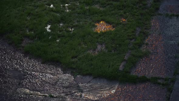 Raindrops On The Surface During Sunset alt