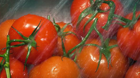 Tomatoes Get Washed In Sink