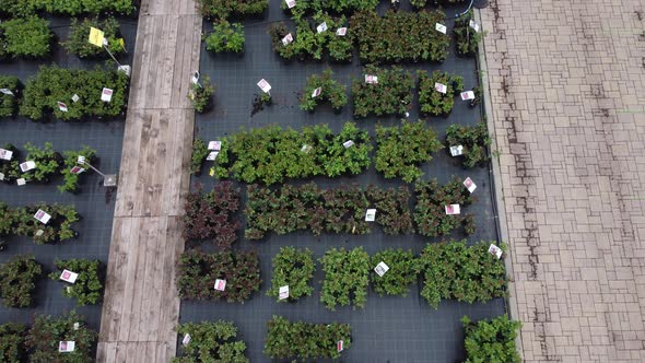 aerial view of garden shop. working people. potted plants