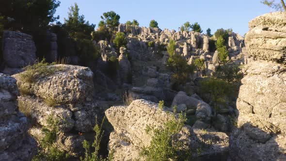 Incredible Gray Rock Formations with Green Coniferous Trees