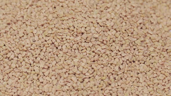 Fenugreek Seeds Background